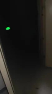 [原创] 翘臀小母狗深夜户外打炮！